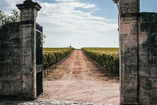 Investir dans le vin, image de portes d'un château qui s'ouvrent pour faire références aux opportunités et à la liberté que l'investissement peut amener.