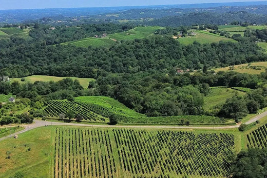 Image du terroir de production du vin très sucré du Sud-Ouest.