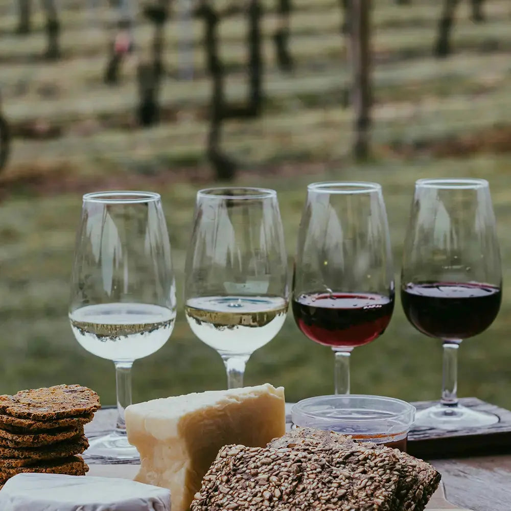 Ensemble de 4 verres inao universels sur une table en bois. Il y a du fromage et du pain devant les 4 verres. La scène se passe dans les vignes. 